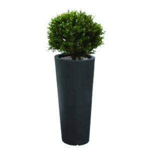 HOLI.E Concept - Aménagement espace de travail - Jardinière ronde Buis