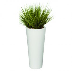 HOLI.E Concept - Aménagement espace de travail - Jardinière rondes graminées