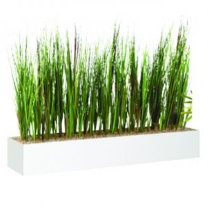 HOLI.E Concept - Aménagement espace de travail - Jardinières basse graminées